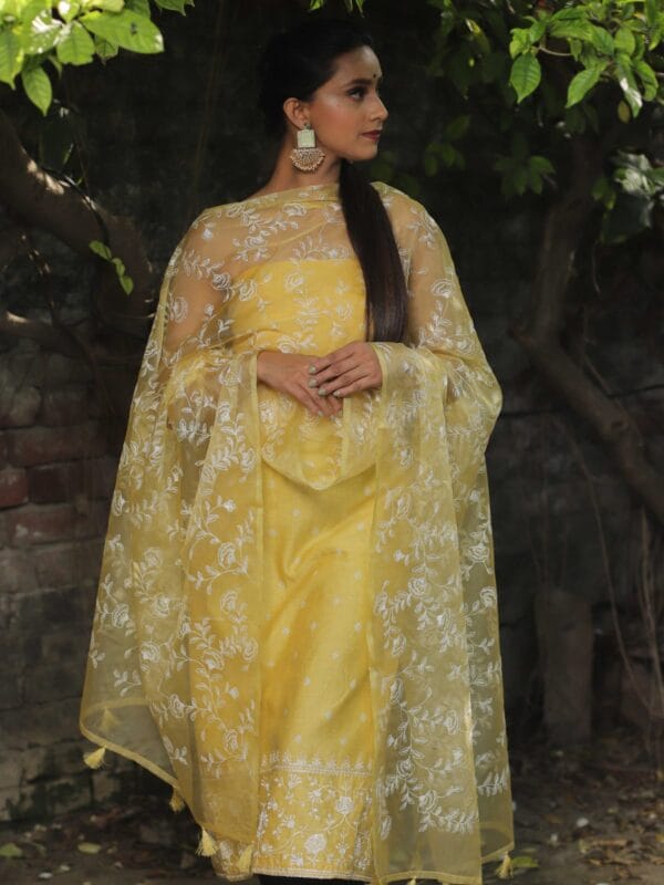Exclusive Embroidery Organza Banarasi Unstitched Salwar kameez with Dupatta - Image 4