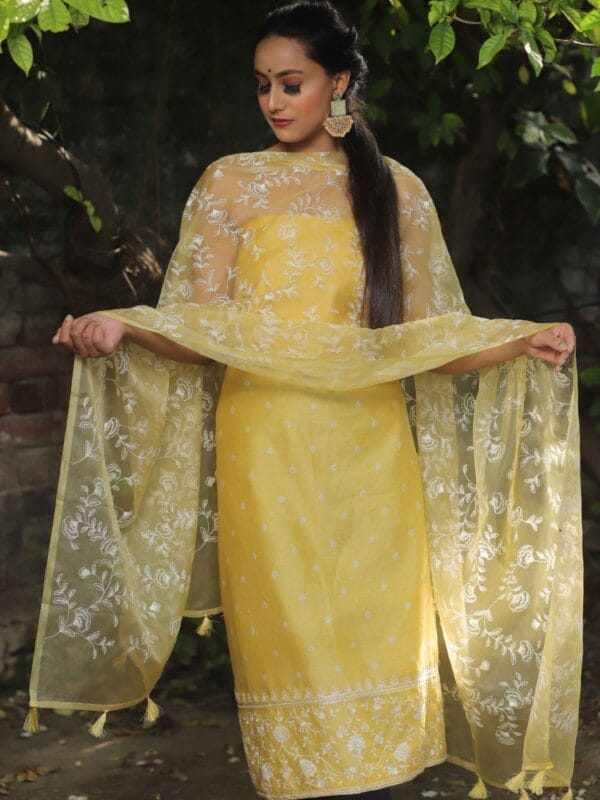 Exclusive Embroidery Organza Banarasi Unstitched Salwar kameez with Dupatta - Image 5
